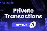 How to Bridge Privately with Verulink