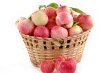 Business Ideas for 2025- How to Launch a Farm Stand Business Without a Farm!