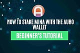 How To Stake MINA From Auro Wallet