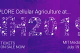 CellAgri goes to New Harvest 2019!