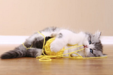 kitten with a ball of yellow yarn