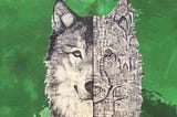 Amy Roa’s poetry book ‘Radioactive Wolves’