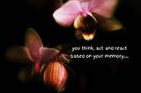 A picture with a quote on “ you think, act and react based on your memory”