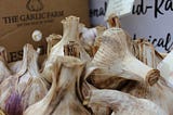 Garlic, Nature's Hidden Miracle Cure