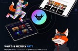 WHAT IS MEFOXY NFT?