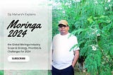 The Growing Moringa Industry: Scope & Strategy, Priorities & Challenges for 2024