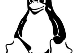 Linux commands crash course