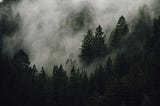 The Random Forest Algorithm: Its Working, Applications, and Example