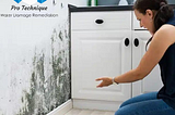 Elevate Your Living Experience With Our Unparalleled Mold Removal Service.