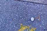 Making Tracks: Walk #2 (Sound & Color)