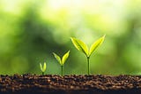How to invest in green stocks on the stock market, for your investment portfolio. Understand what an ESG portfolio is and how it can benefit the environment, and make an impact on the world and sustainability