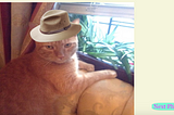 How Putting Hats On My Cat Made Me Love React