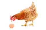 AI has a Chicken and Egg Problem