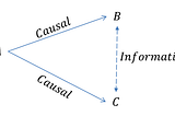 Information Theory: Principles and Apostasy