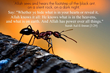 An Encounter with Allah