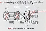 Neural network and it’s related terms