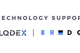 The Technology Supporting LQDEX Bridge