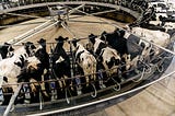 How the Dairy Industry Lies to Us