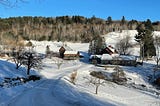 Rural scene in Vermont in winter, with a few houses in the vicinity of a forest
