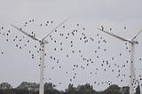 Dutch windmills with swarms of birds flying around them.