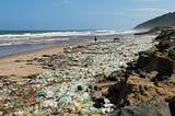 The Menace of Polythene: A Silent Killer of Our Oceans