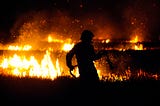 Climate Change Behind Bars: How Inmates are Helping Tame California’s Wildfires