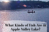 What Kinds of Fish Are in Apple Valley Lake?