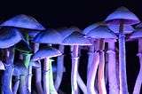 Is the Psychedelic Movement Elitist Toward Other Drugs?