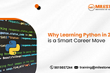 Why Learning Python in 2024 is a Smart Career Move