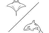 drawn outlines of a manta ray and an orca separated by a straight line