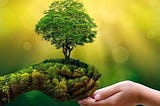 प्रकृति हमारे आस-पास की हर चीज़ है, जिसमें पौधे, जानवर, पेड़, पहाड़, जंगल और आकाश शामिल हैं । यह…