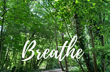 5 reasons why you should start a breathing practice today