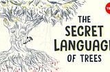 The secret language of trees