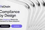 Compliance by Design: How Hayabusa Meets Standards for Mass Blockchain Adoption