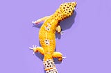 Guide: Creating and Computing Vectors Using Python