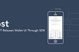 OST Releases Wallet UI Through SDK