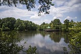 A beautiful, tranquil photo of a body of water surrounded by green trees, with a blue sky overhead that’s reflected in the water.