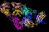 Fitness Landscape for SARS-CoV-2 Virus Neutralizing Super Antibody