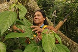 Sabiduría indígena para enfrentar la pandemia en Perú