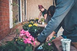 People of different backgrounds gardening, planting flowers in a window planter together.