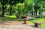 The Benefits of Park Spaces