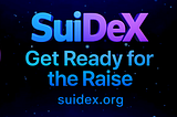 🔧 Getting Ready for the SuiDex Private Raise