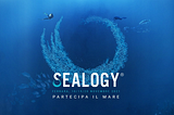 Sealogy: promoting investment in the Blue Economy