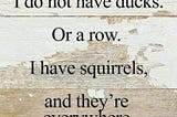The Problem with Squirrels