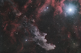 The Purpose-Driven Universe: Insights from the Mechanics of Information