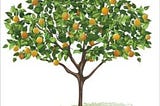 Growing and Maintaining Healthy Fruit Trees By Annette Lathion