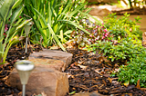 Sustainable landscaping tips that save time and money