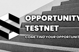 “Opportunity” is here — Standard Protocol First Standalone Testnet