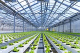 It’s time to redefine indoor agriculture