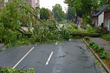Through the Storm